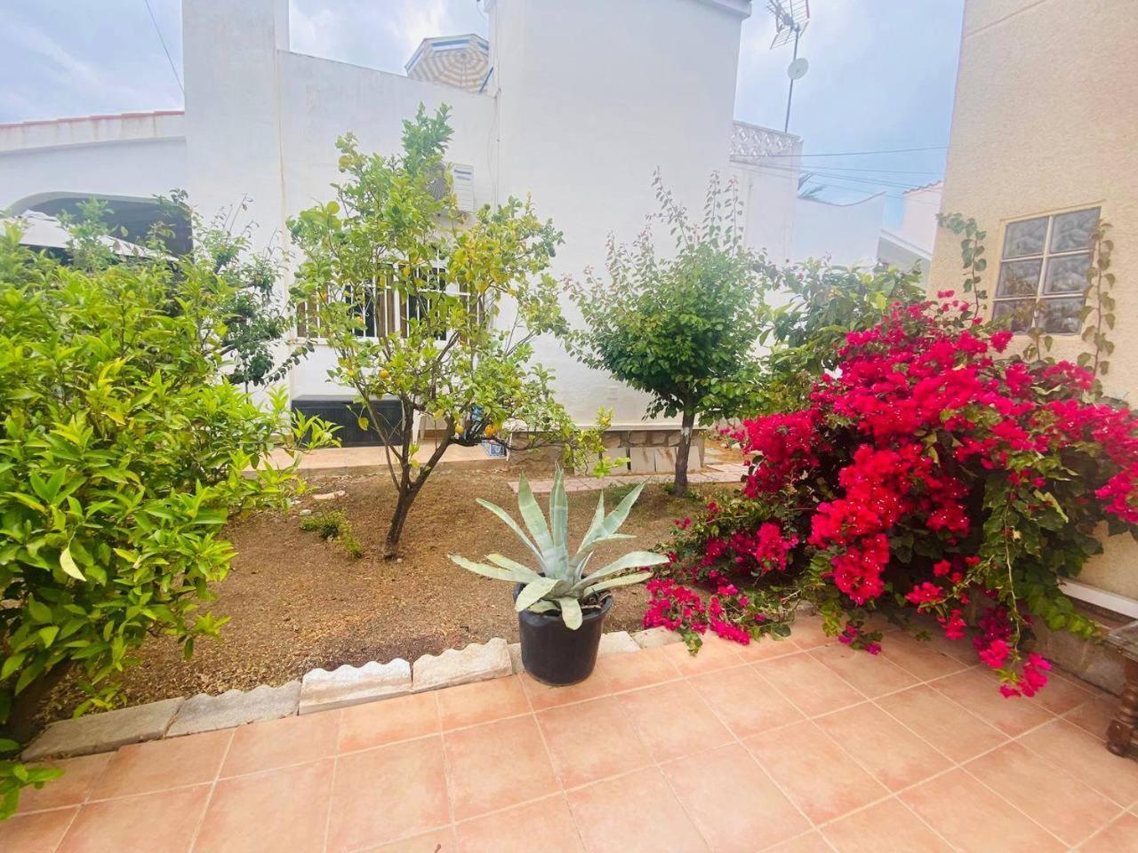 Villa Sunset Orihuela Costa 外观 照片